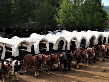 What to do in Jackson Hole - Summer Activities